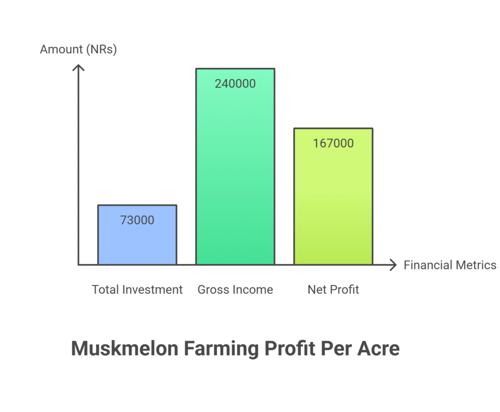 Muskmelon Farming Profit Per Acre