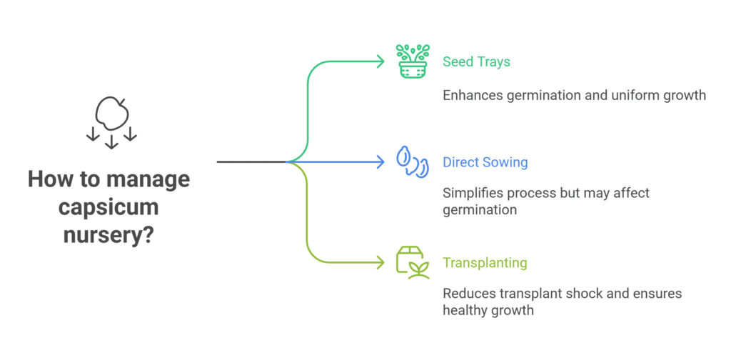 Capsicum Farming Profit Per Acre