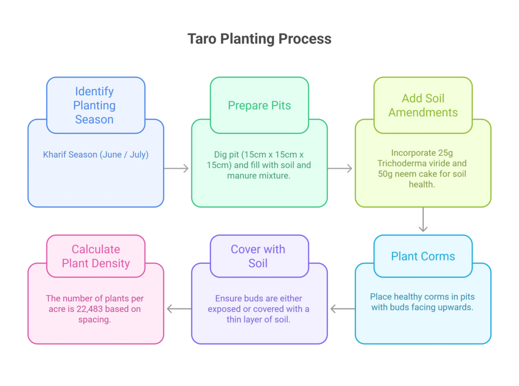 Arum Arvi Farming Profit Per Acre