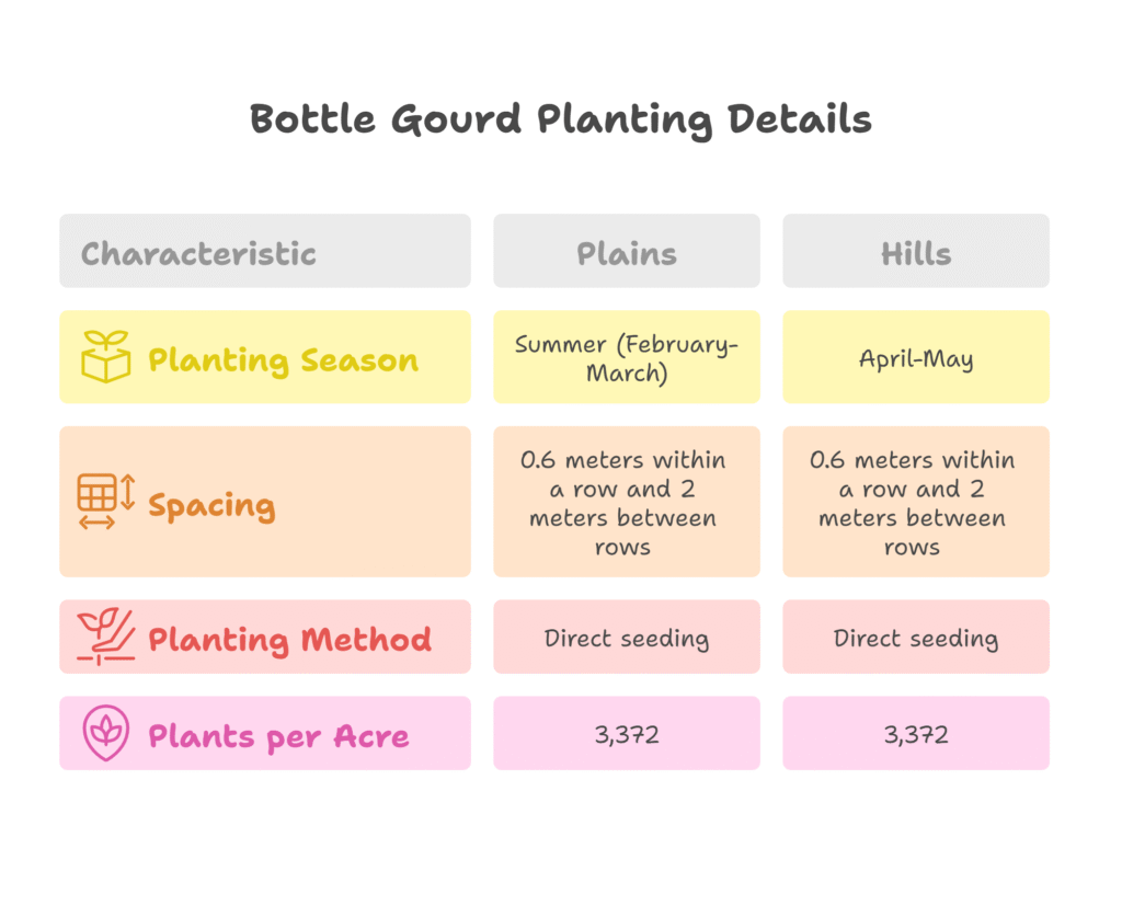 Bottle Gourd Farming Profit Per Acre