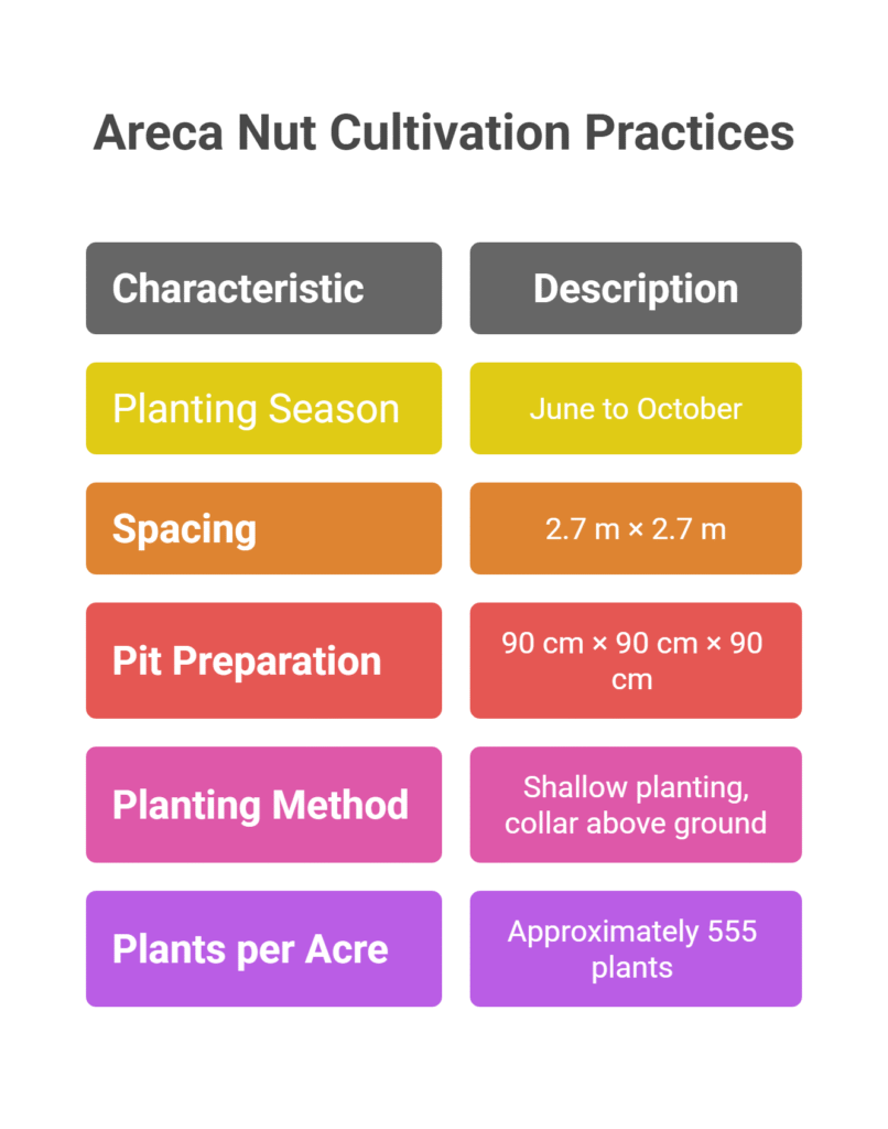 Arecanut Farming Profit Per Acre