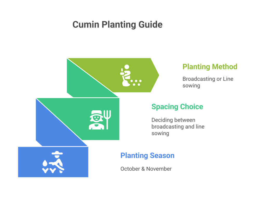 Cumin Farming Profit Per Acre