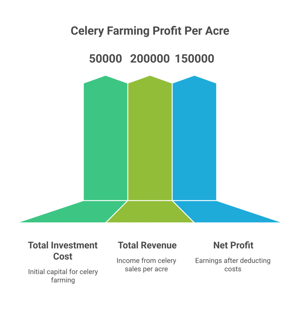 Celery Farming Profit Per Acre