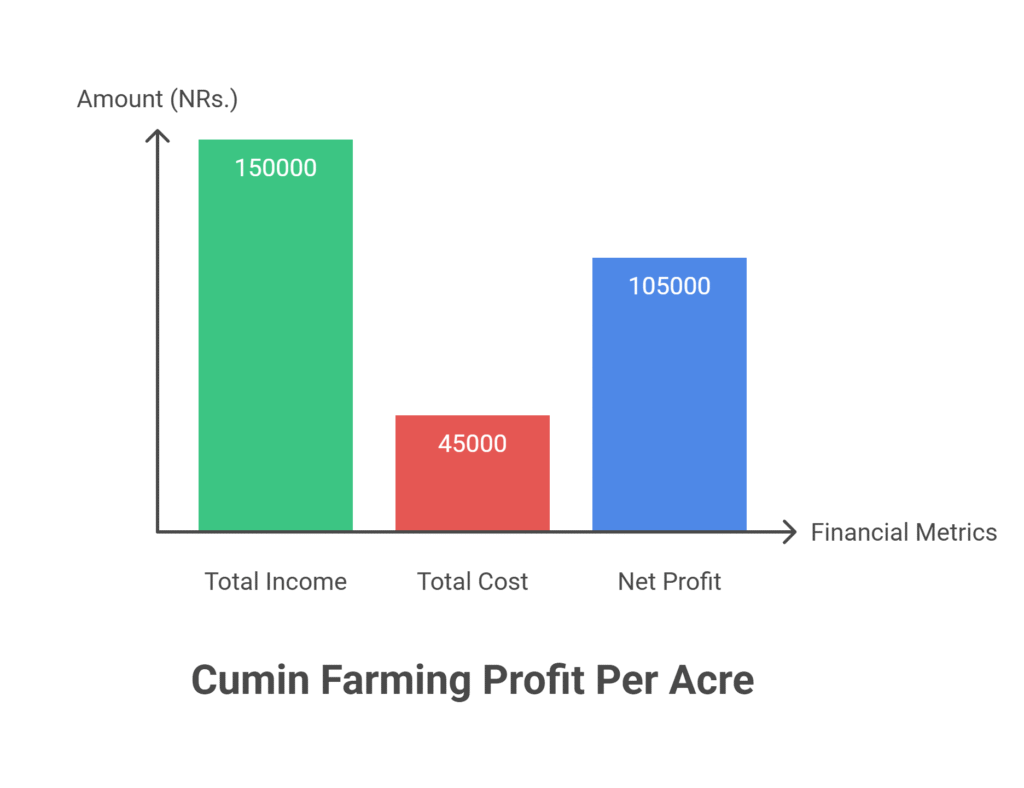 Cumin Farming Profit Per Acre