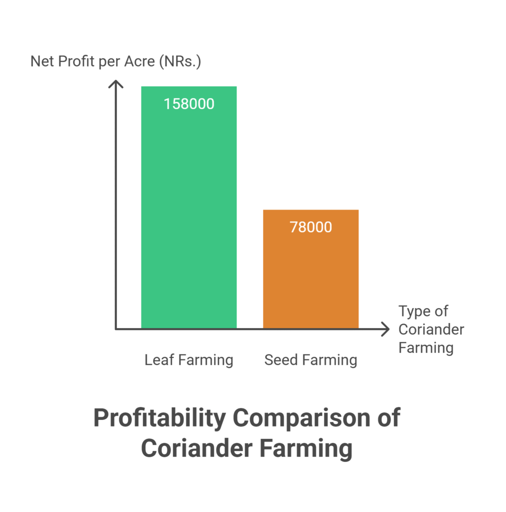 Coriander Farming Profit Per Acre