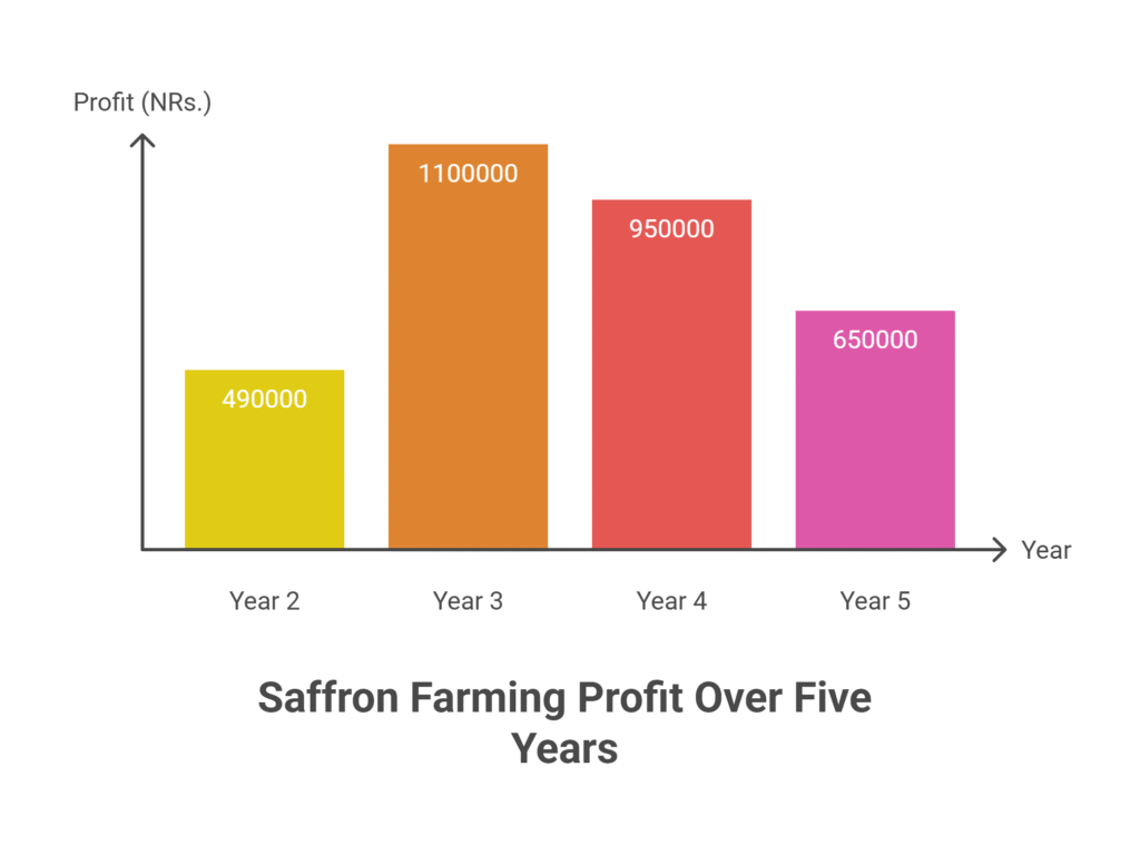 Saffron Farming Profit Per Acre