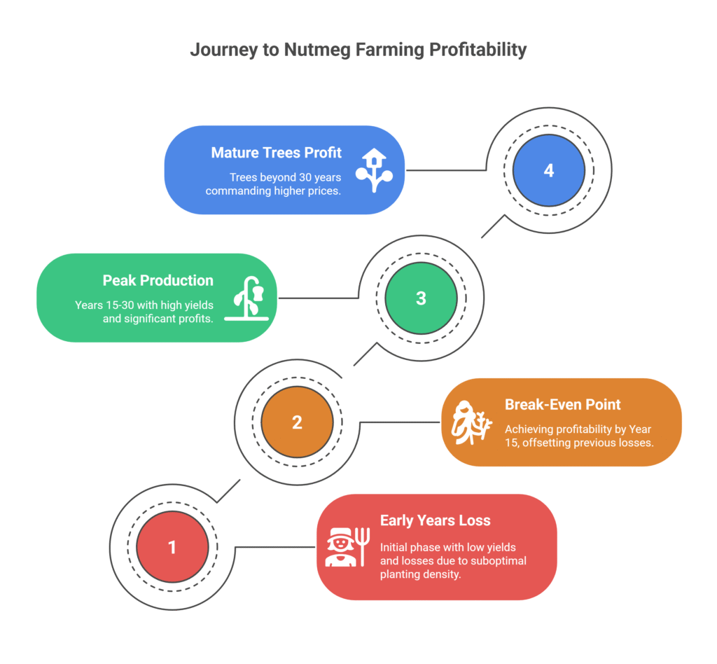 Nutmeg Farming Profit Per Acre