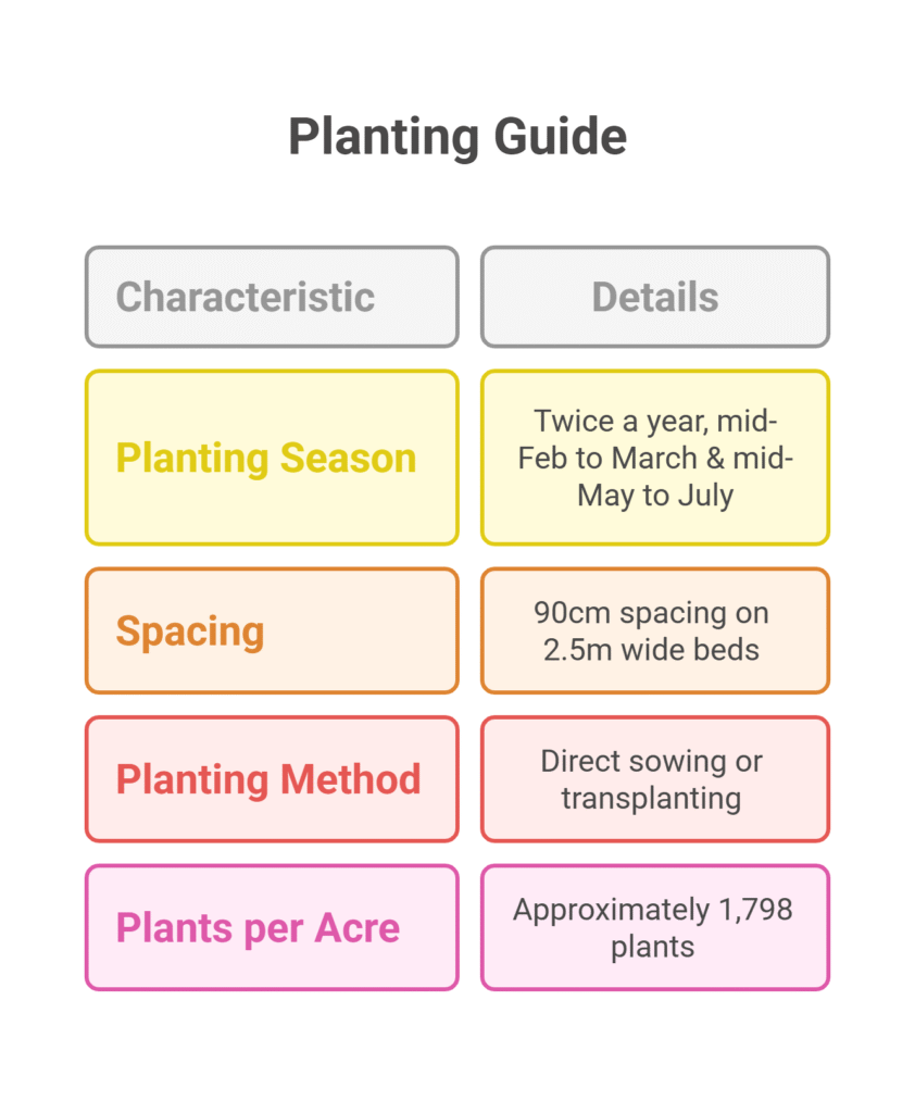 Sponge Gourd Farming Profit Per Acre
