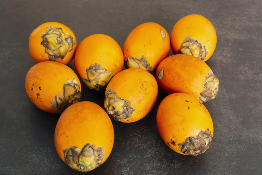 Arecanut Farming Profit Per Acre