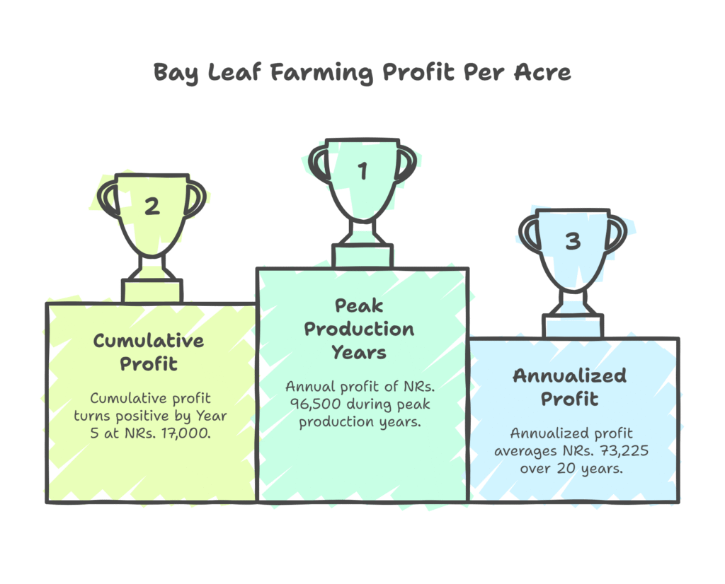 Bay Leaf Farming Profit Per Acre