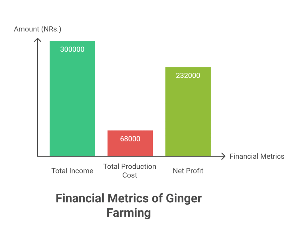 Ginger Farming Profit Per Acre