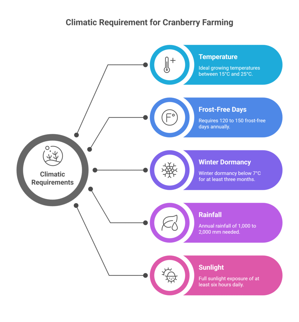 Cranberry Farming Profit Per Acre