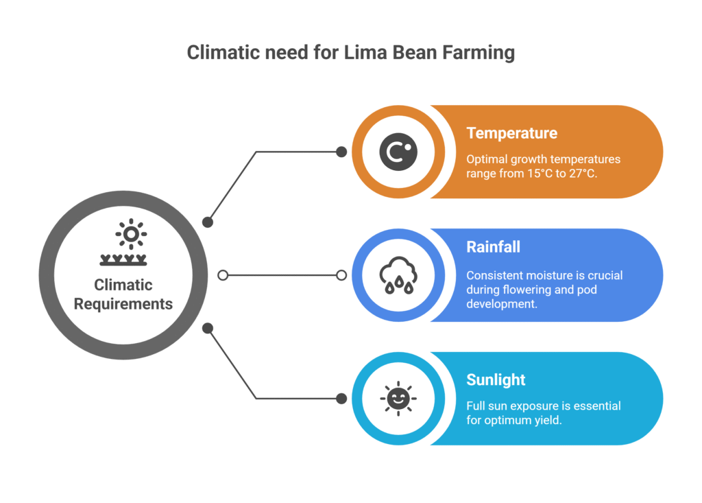 Lima Bean Farming Profit Per Acre