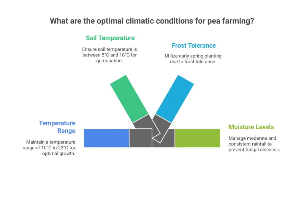 Pea Farming Profit Per Acre