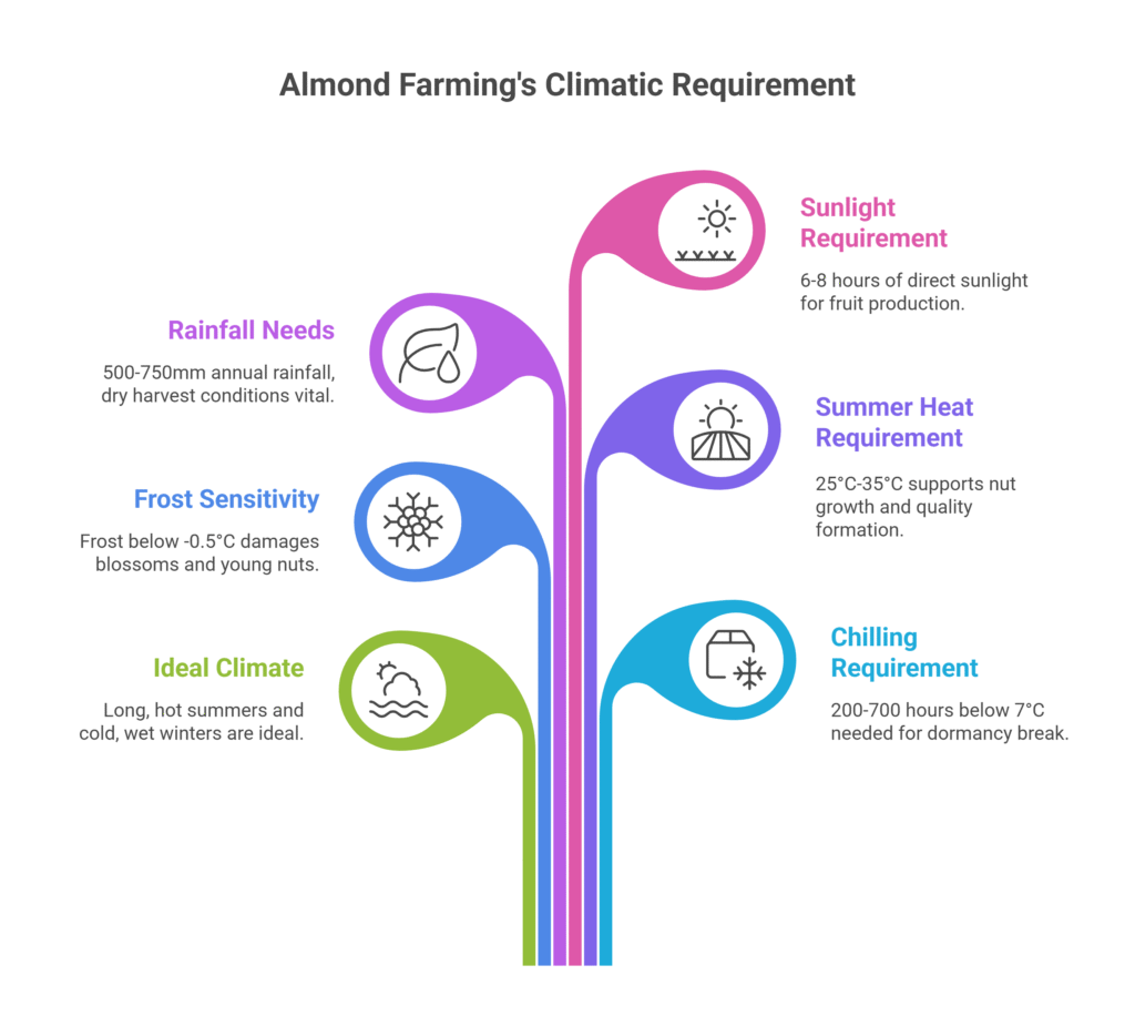 Almond Farming Profit Per Acre