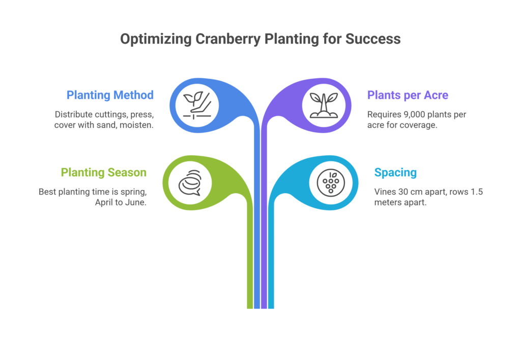Cranberry Farming Profit Per Acre