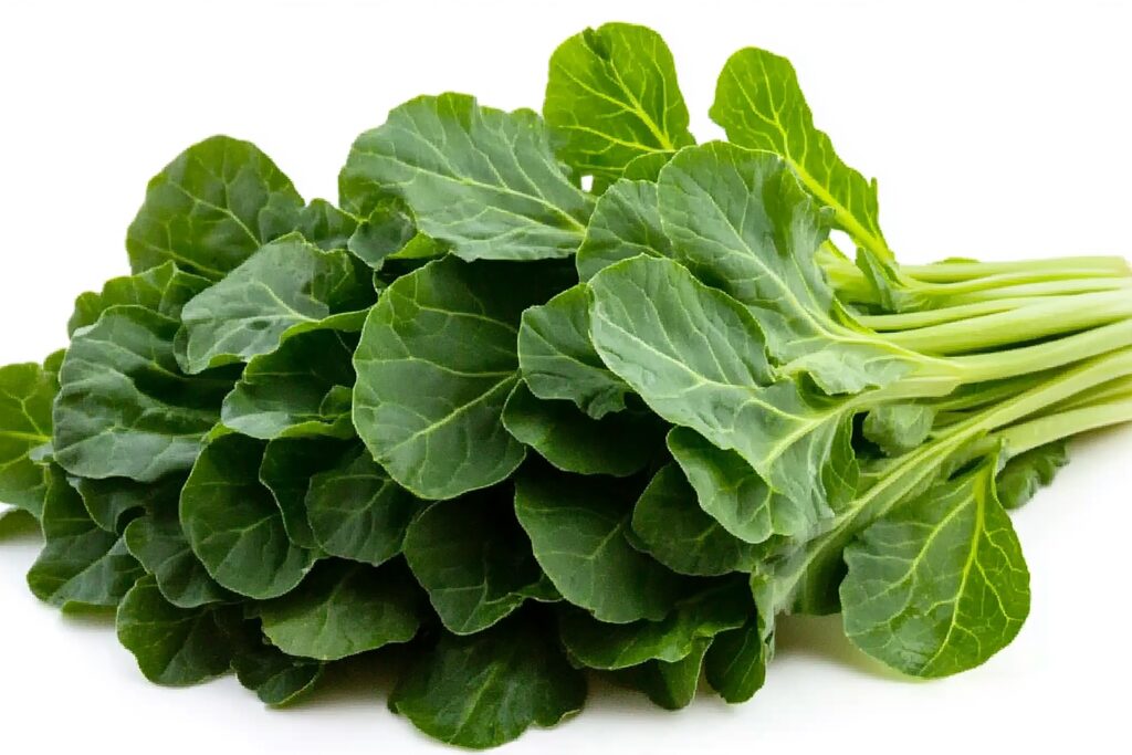 Collard Green Farming Profit Per Acre