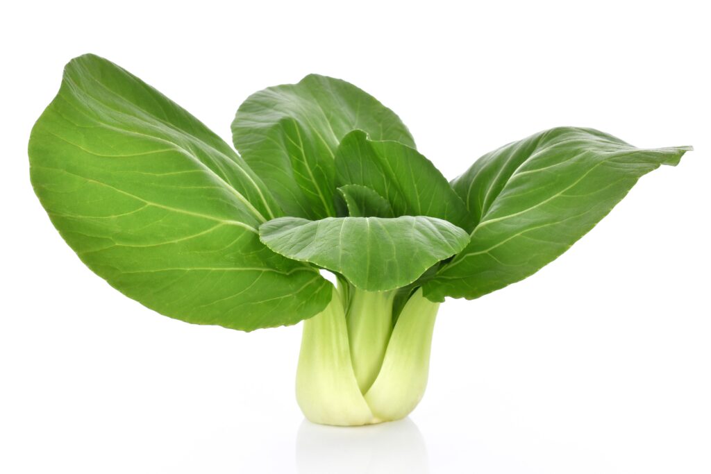 Pak Choi Farming Profit Per Acre