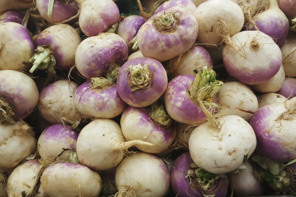 Turnip Farming Profit Per Acre
