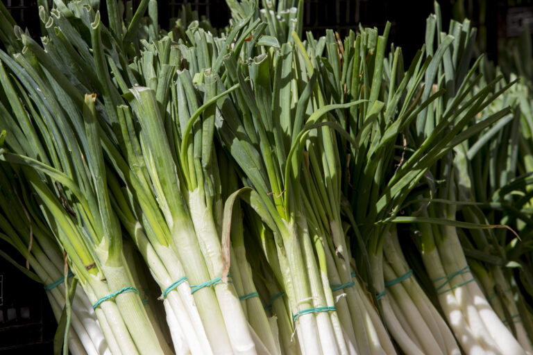 Leek Farming Profit Per Acre