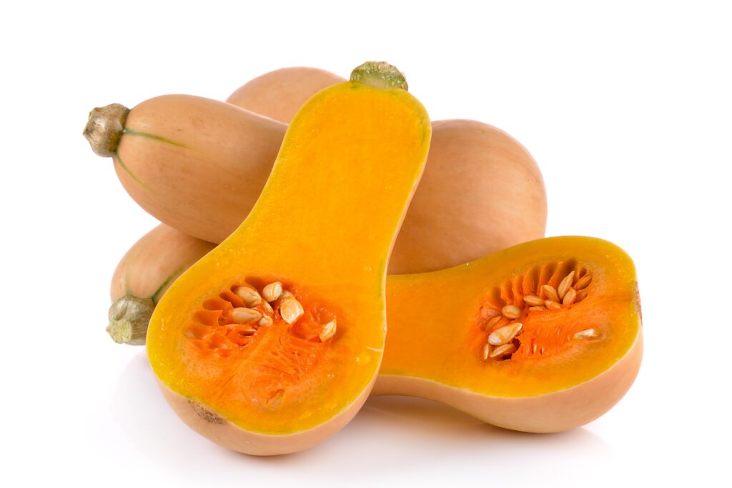 Squash Farming Profit Per Acre