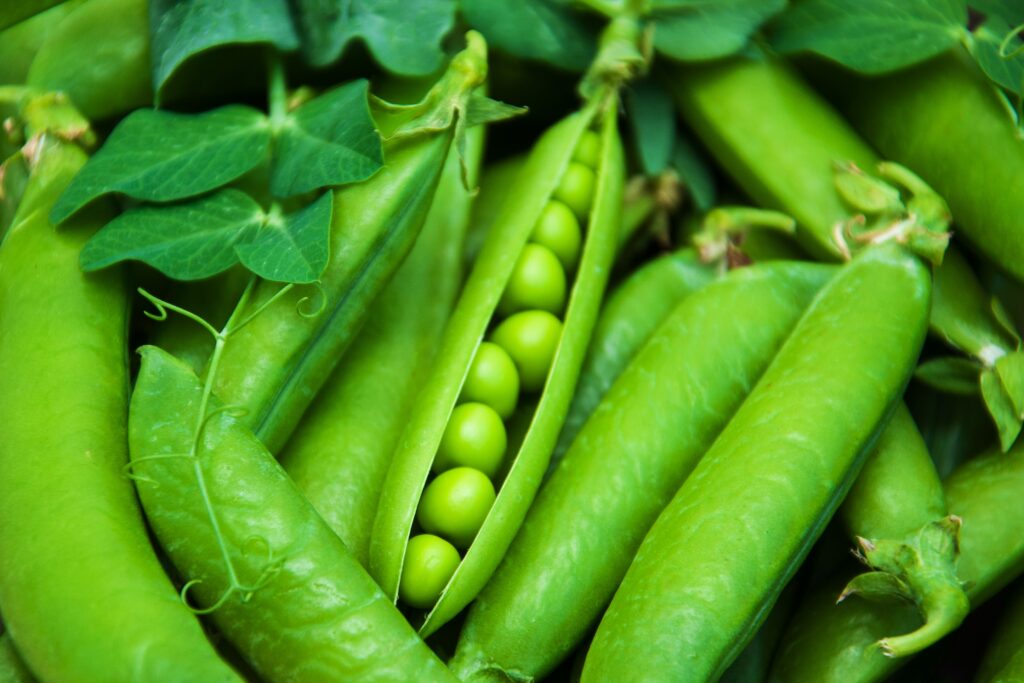 Pea Farming Profit Per Acre