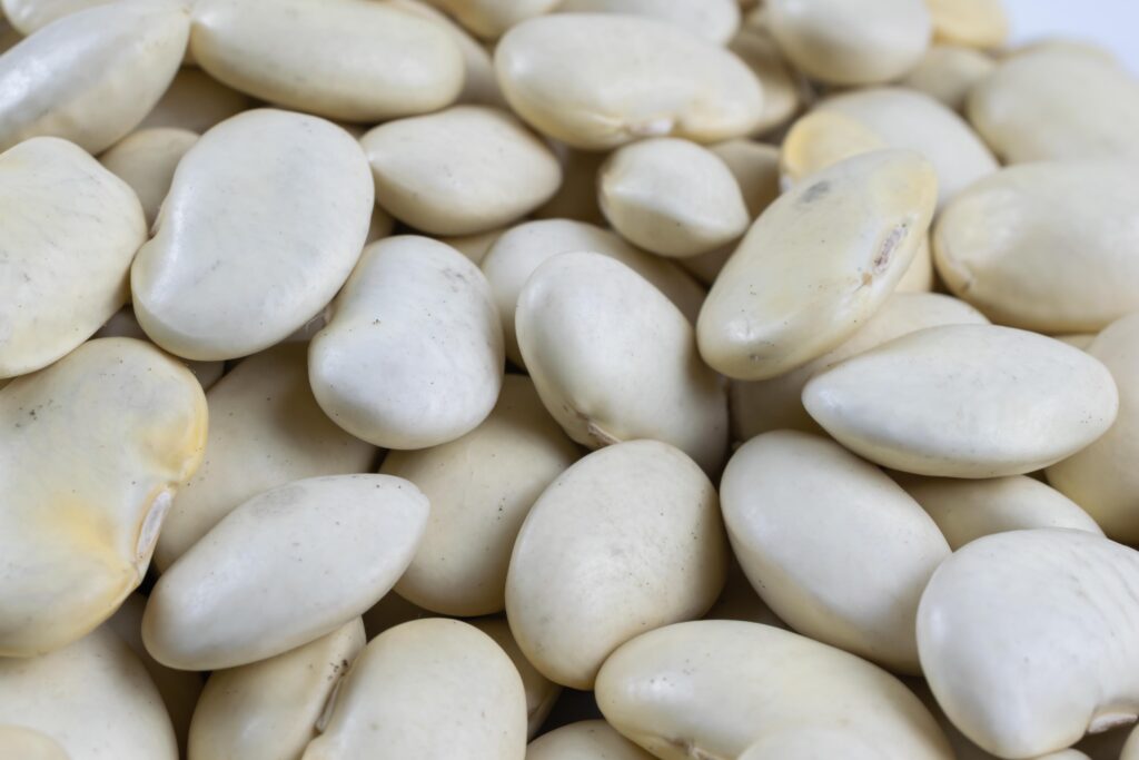 Lima Bean Farming Profit Per Acre