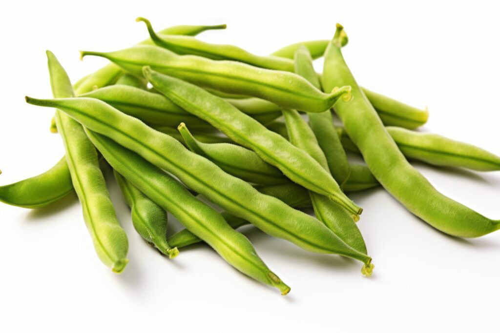 Green Bean Farming Profit Per Acre