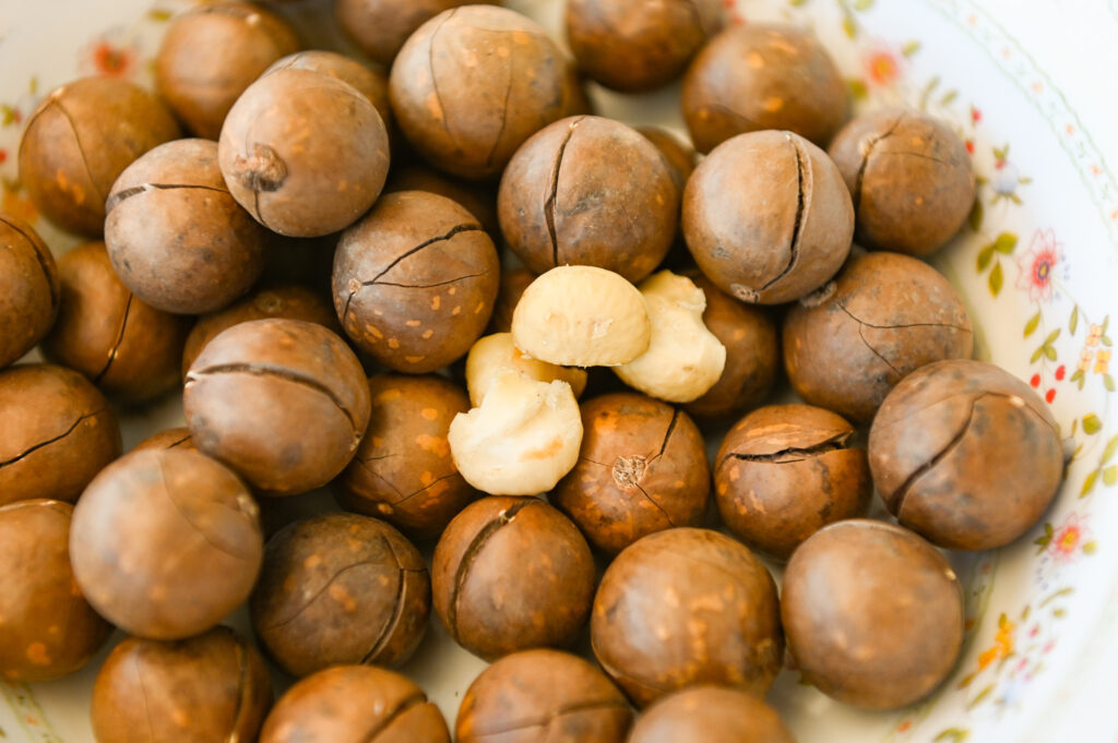 Macadamia Nut Farming Profit Per Acre