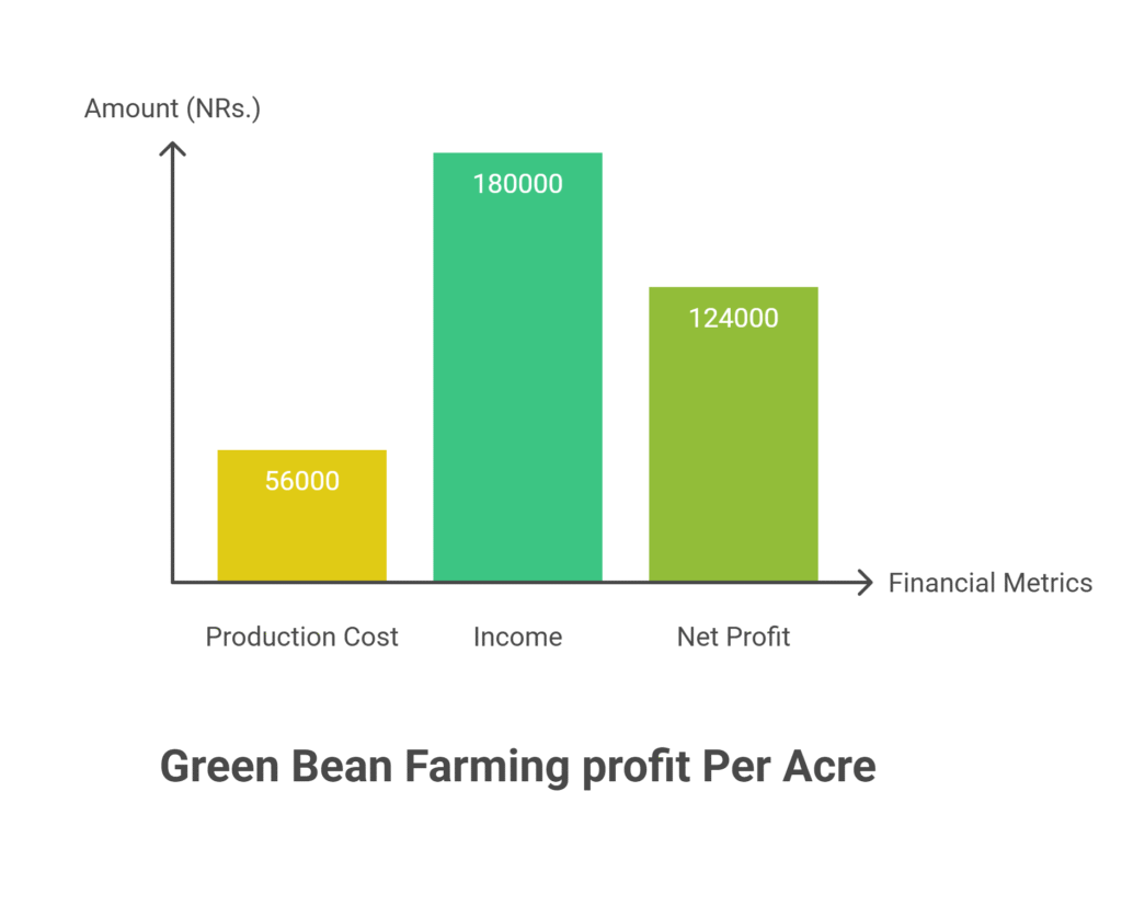 Green Bean Farming Profit Per Acre
