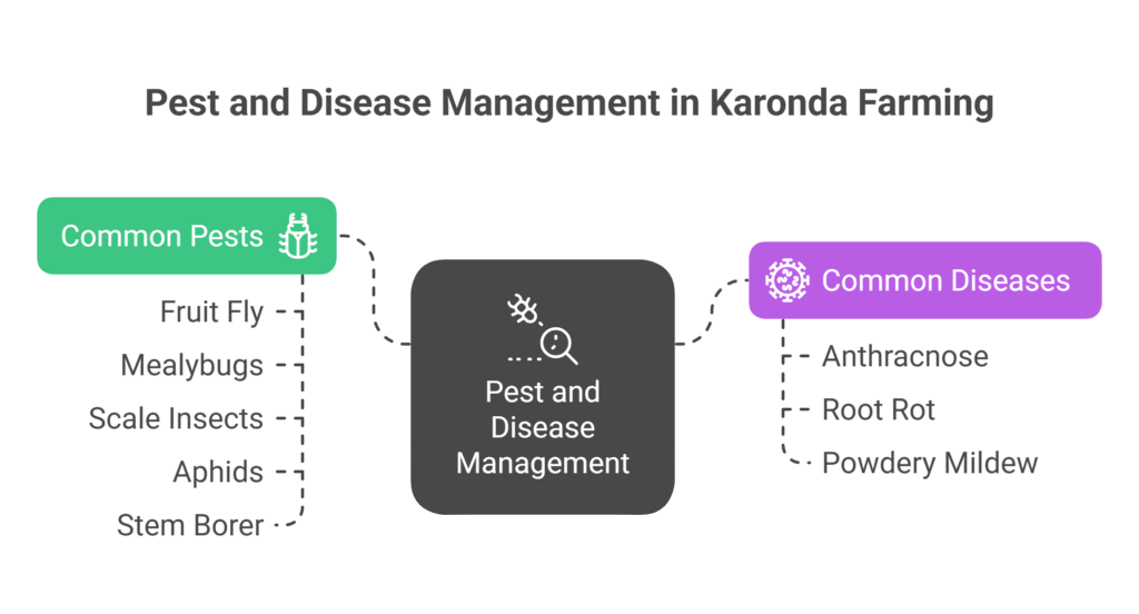 Karonda Farming Profit Per Acre