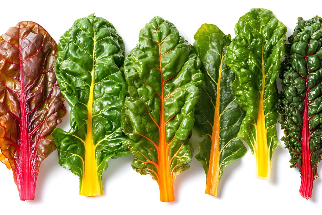 Swiss chard farming Profit Per Acre