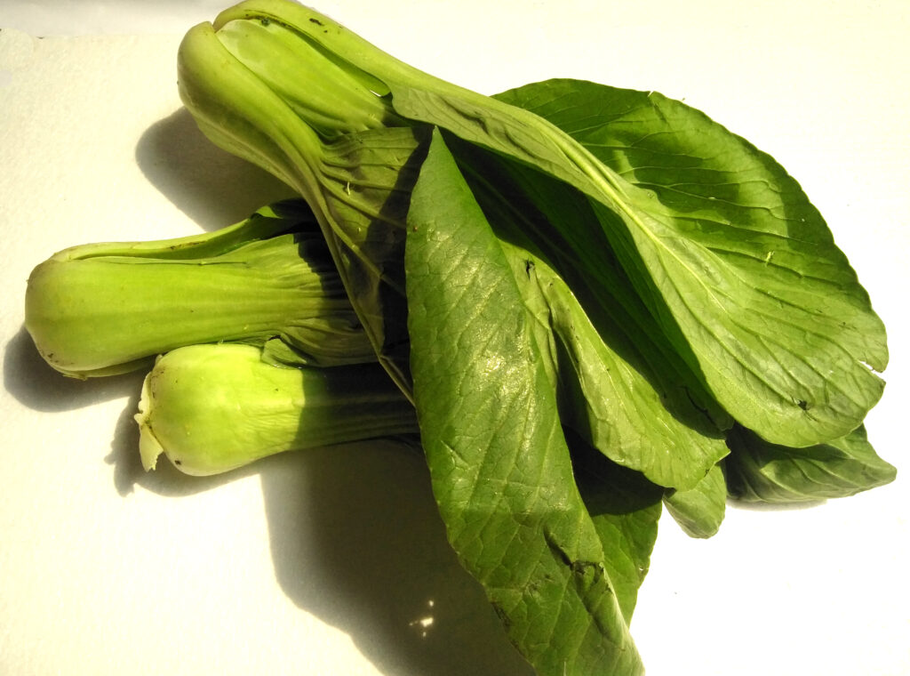 Pak Choi farming Profit Per Acre