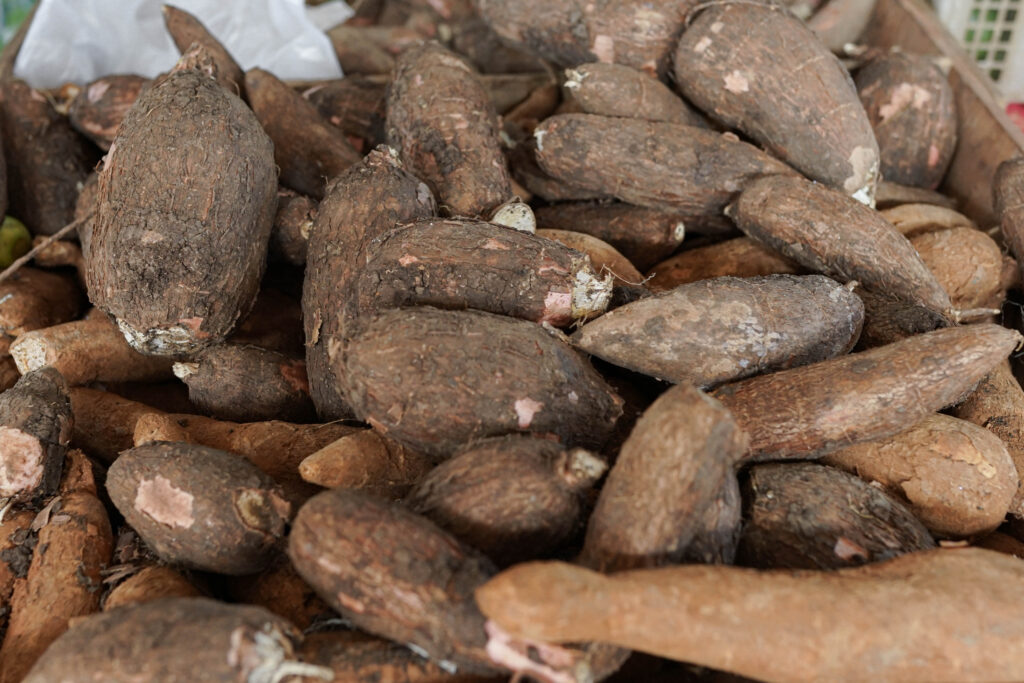 Cassava Farming Profit Per Acre