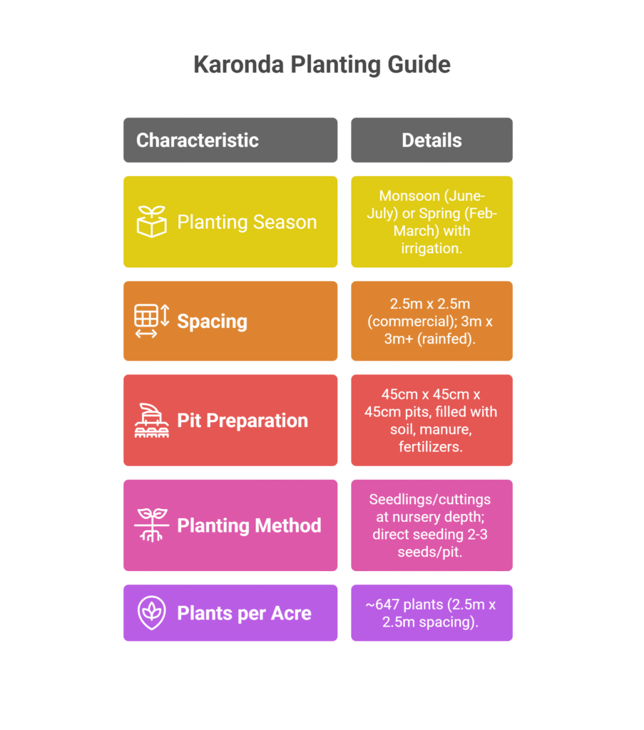 Karonda Farming Profit Per Acre