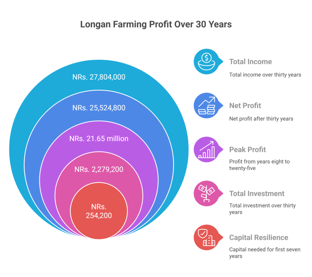 Longan Farming Profit Per Acre