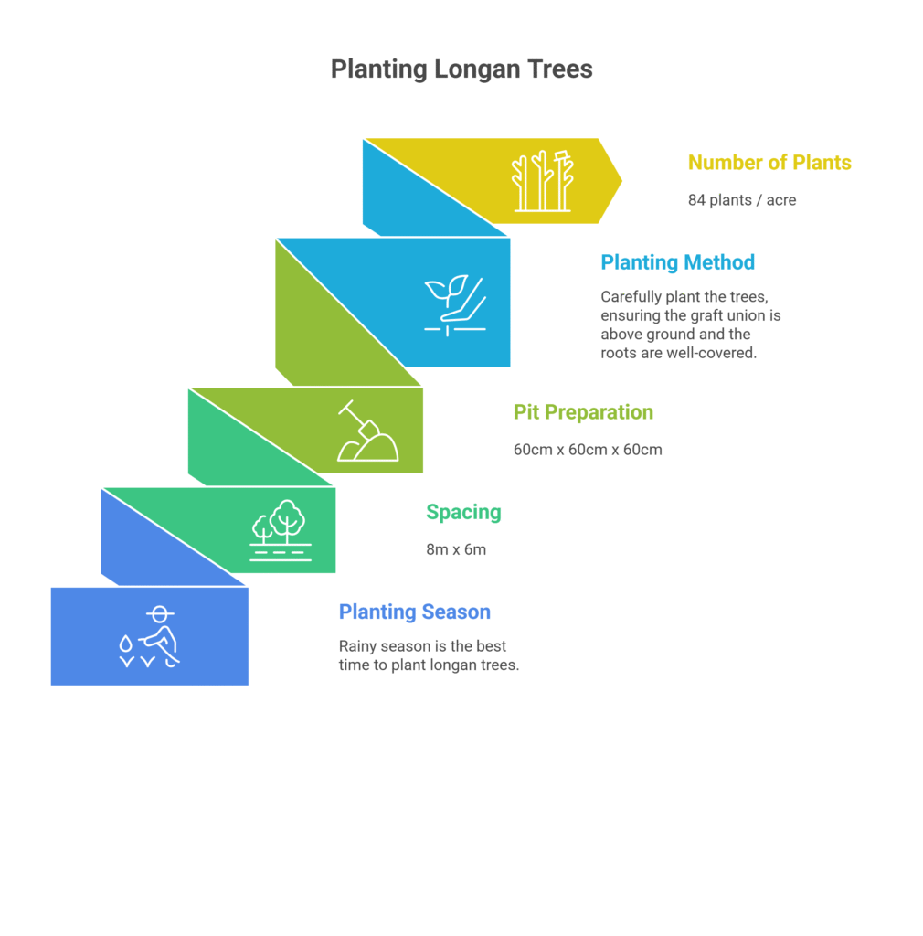 Longan Farming Profit Per Acre