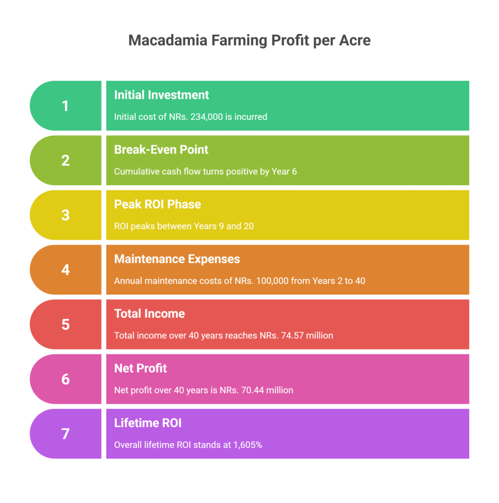 Macadamia Nut Farming Profit Per Acre