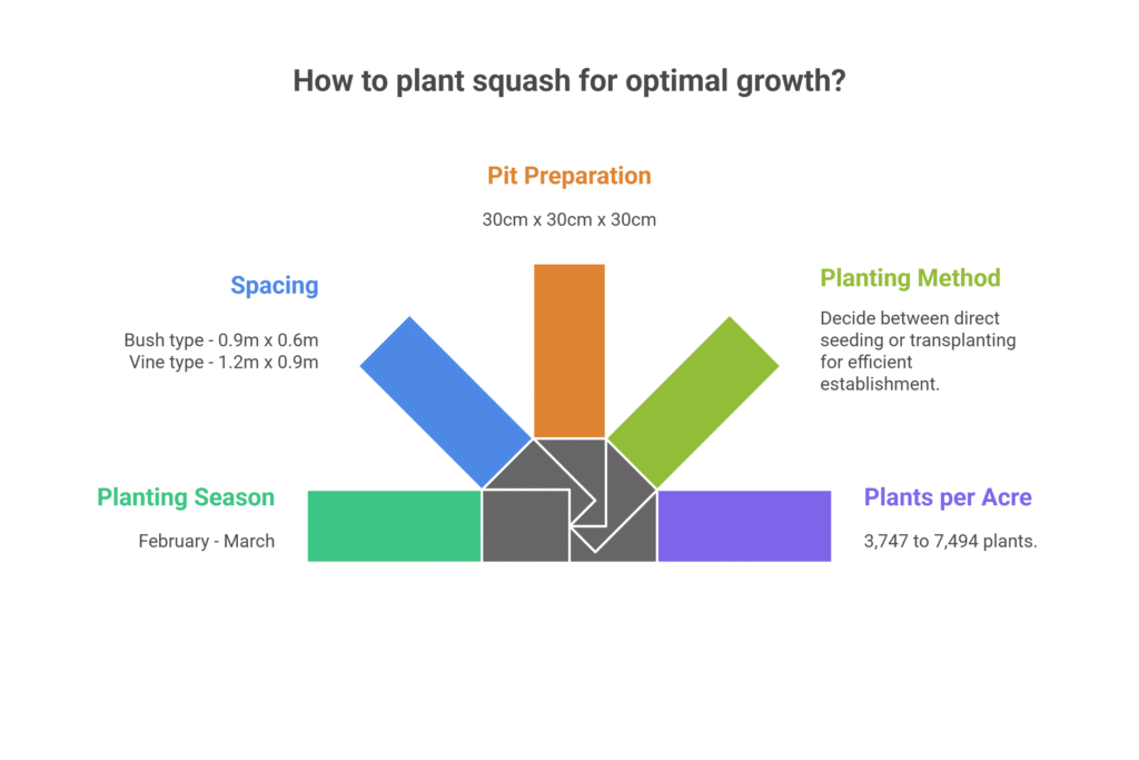 Squash Farming Profit Per Acre
