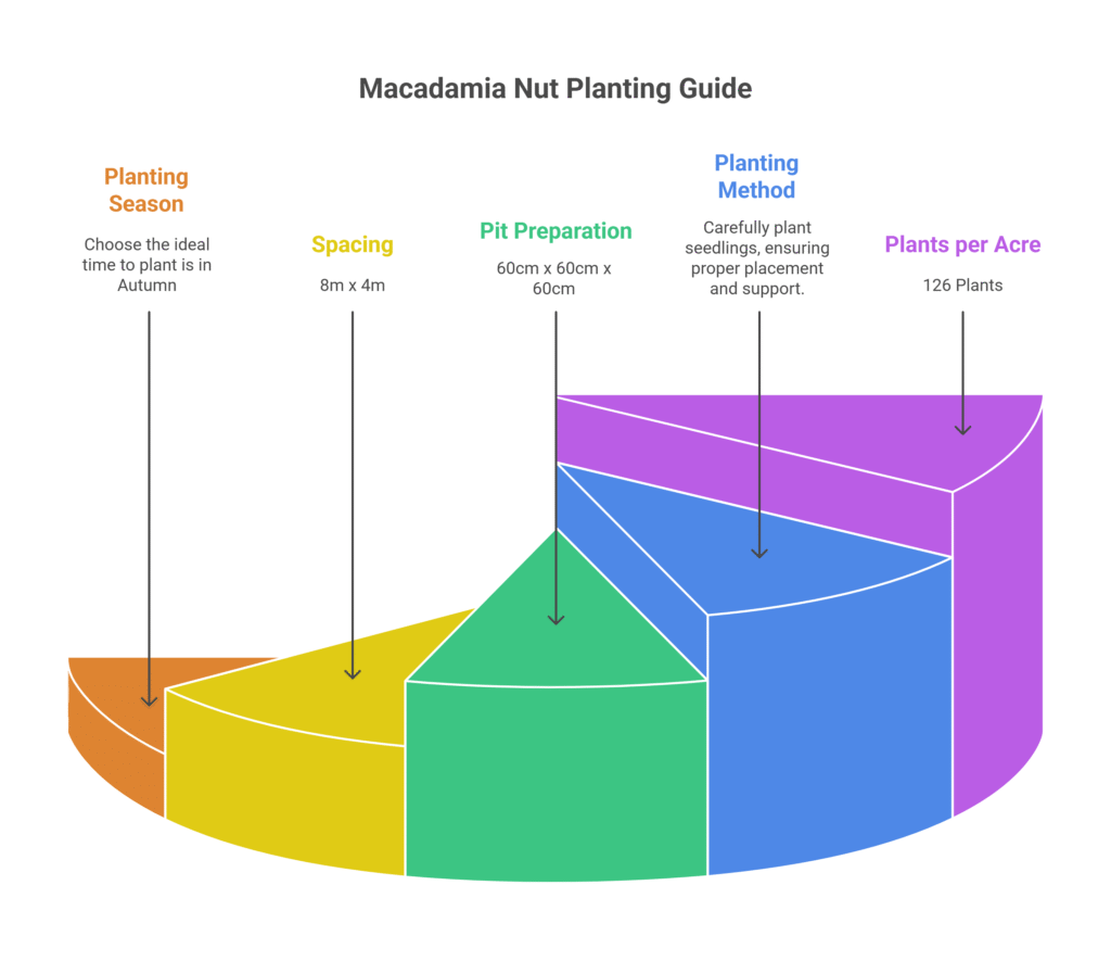Macadamia Nut Farming Profit Per Acre