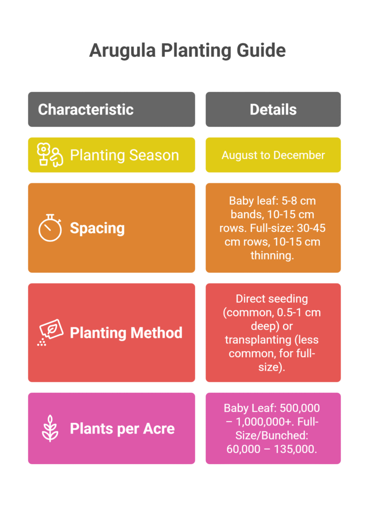 Arugula Farming Profit Per Acre 