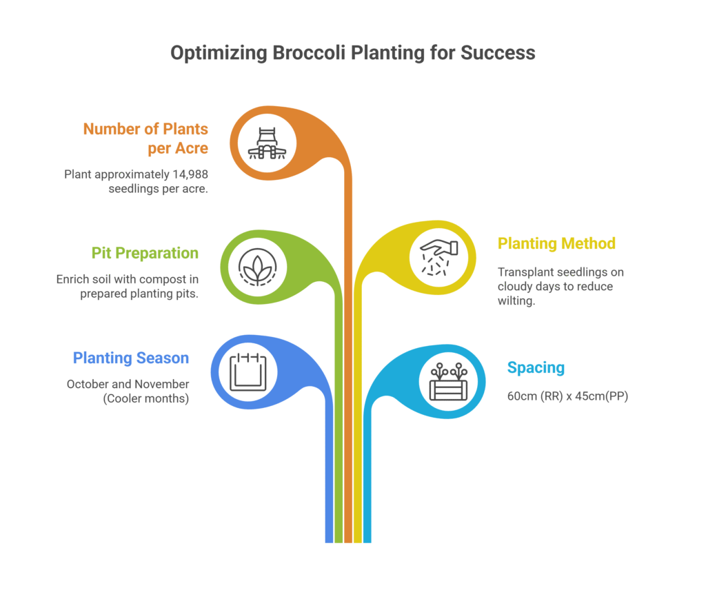 Broccoli Farming Profit Per Acre 