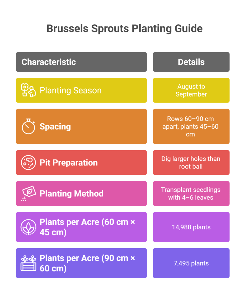 Brussels Sprout Farming Profit Per Acre
