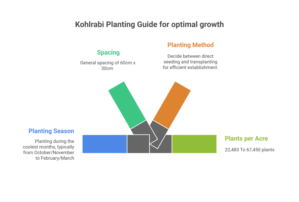 Kohlrabi Farming Profit Per Acre