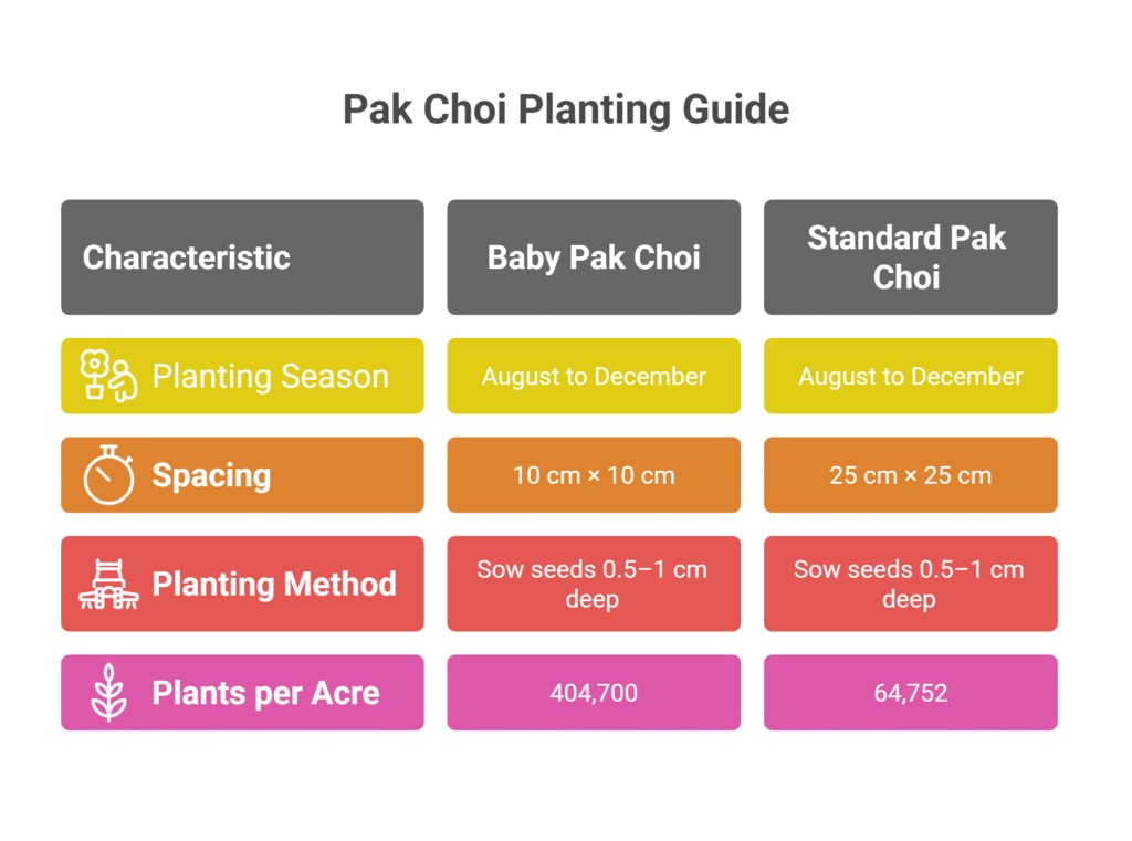 Pak Choi farming Profit Per Acre