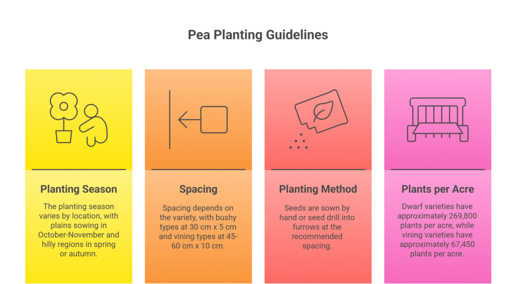 Pea Farming Profit Per Acre