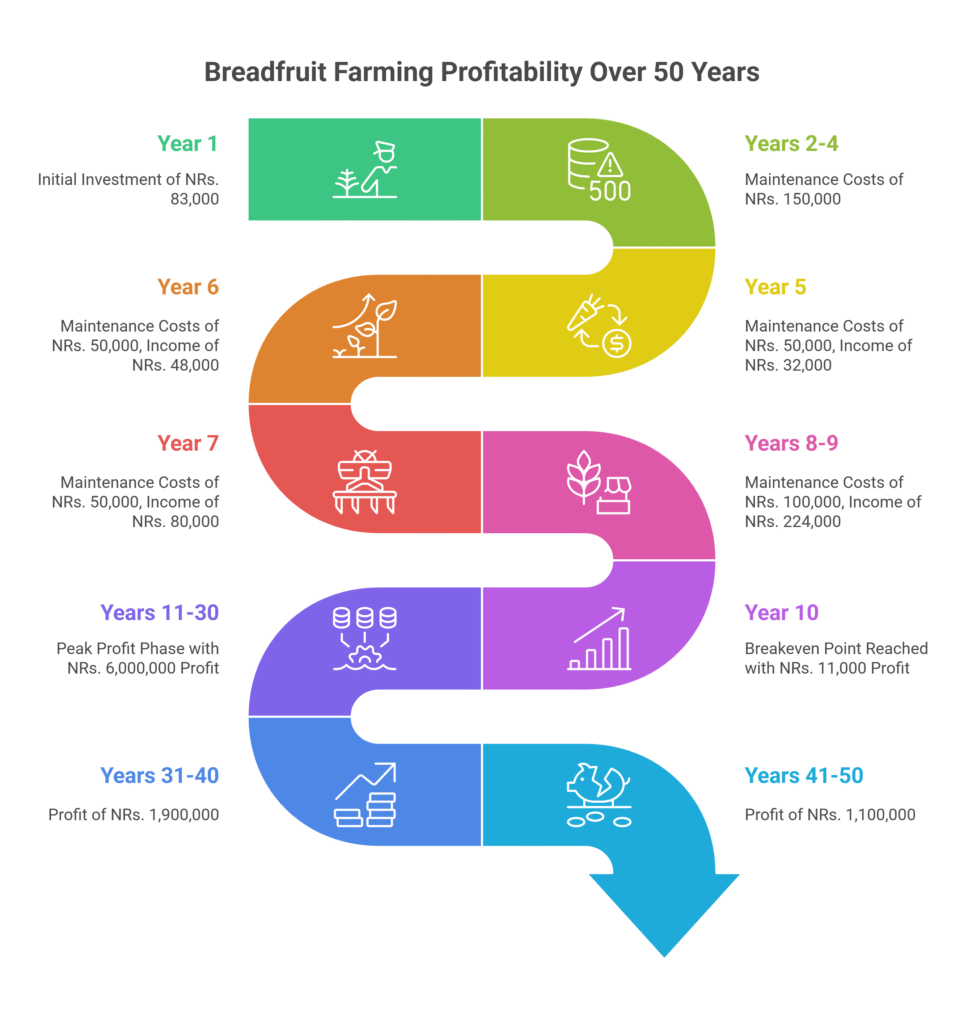 Breadfruit farming profit Per Acre