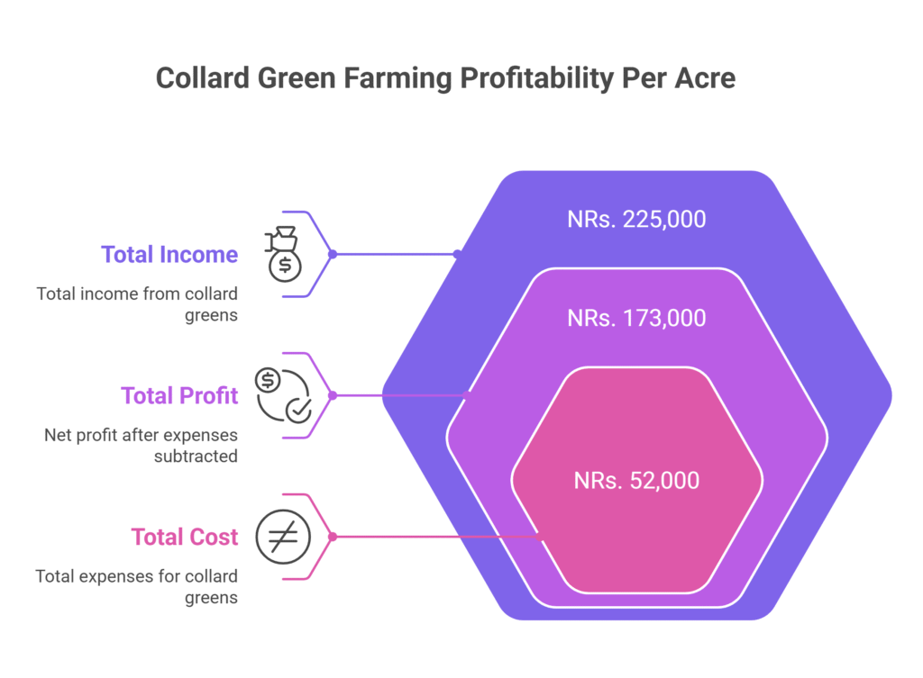 Collard Green Farming Profit Per Acre 