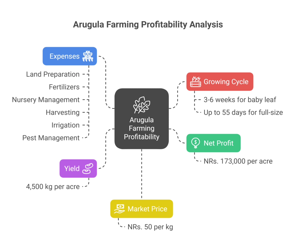 Arugula Farming Profit Per Acre 