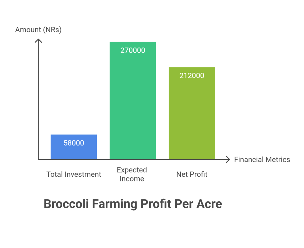 Broccoli Farming Profit Per Acre 